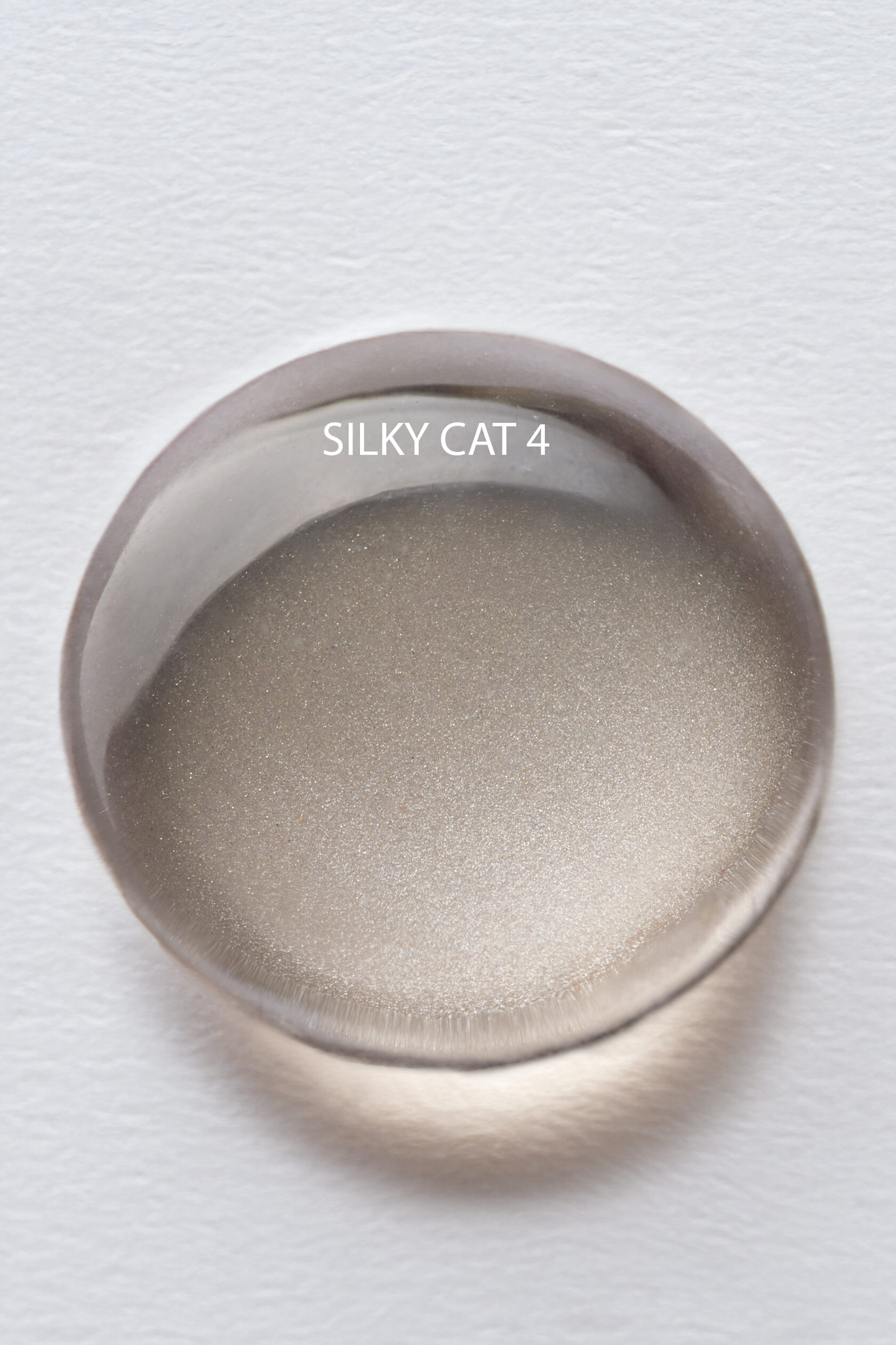 Gel polish Albi SILK CAT 4